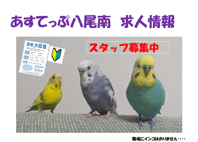 あすてっぷ八尾南　児童発達支援・放課後等デイサービスのアルバイト・バイト求人情報-02