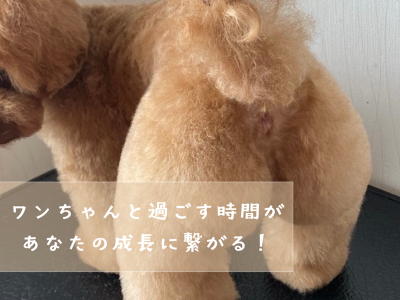 ”PRL" PRICELESS(プライスレス)　(株式会社RizeHigh)のアルバイト・バイト求人情報-05