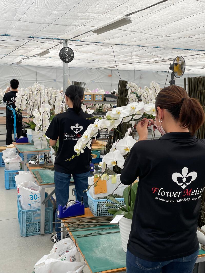 有限会社花匠の求人情報
