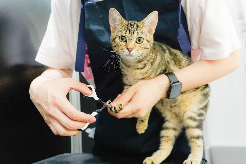 株式会社フローエンスのアルバイト・バイト求人情報-03