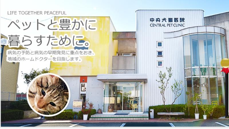 中央犬猫医院の求人・転職情報-02