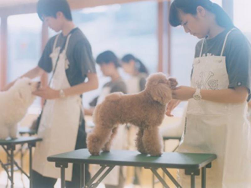 専門学校ビジョナリーアーツのイメージ2