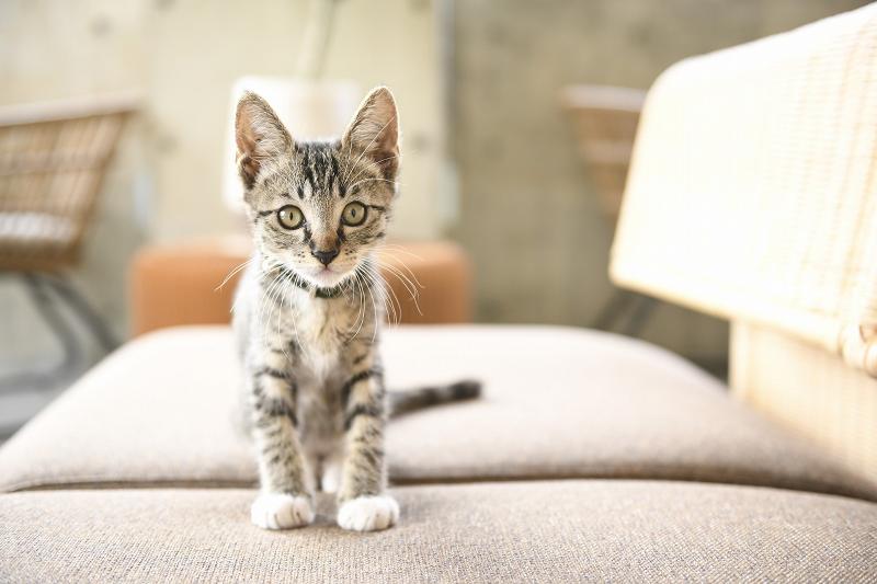 株式会社R&Aのアルバイト・バイト求人情報-03