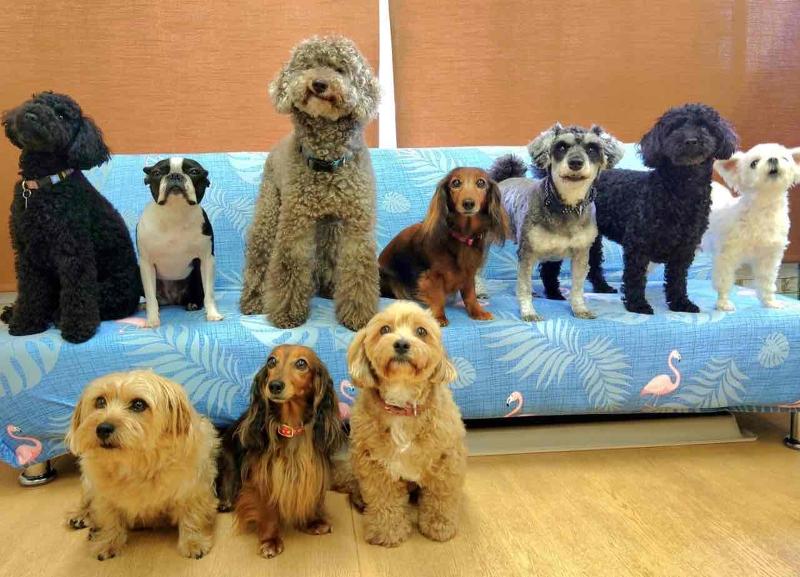 クラブケンケン田園調布店のアルバイト・バイト求人情報-02