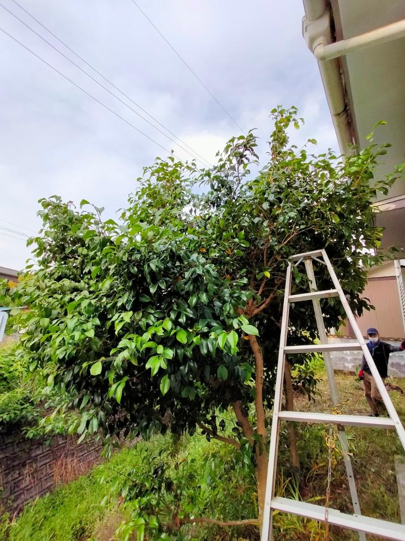 株式会社 蒼天のアルバイト・バイト求人情報-03