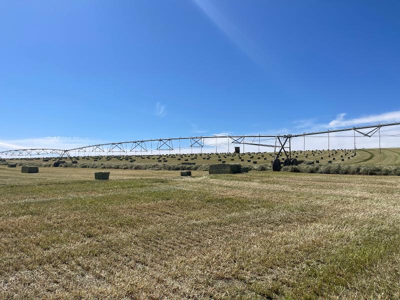 株式会社クオリフィードのアルバイト・バイト求人情報-02