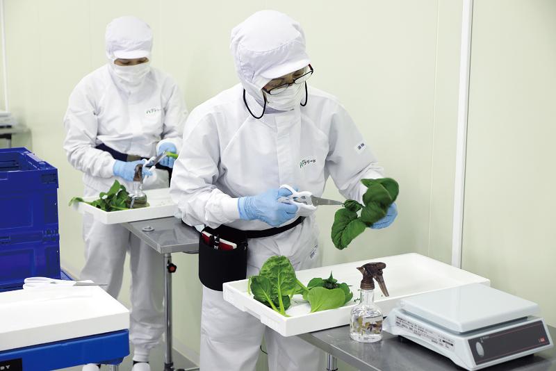 合同会社アグリードの求人・転職情報