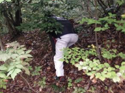 ゴルフボール回収の求人 Indeed インディード