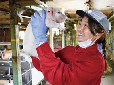 研究開発の求人 北海道 千歳市 Indeed インディード
