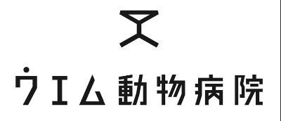 動物看護師の求人 東京都 Indeed インディード