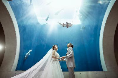 ブライダル業界の求人 関西 Indeed インディード