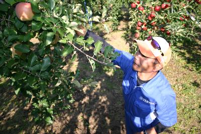 福島県 福島市の求人 Indeed インディード