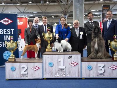 犬 アルバイトの求人 埼玉県 川越市 Indeed インディード