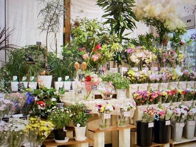 花屋 アルバイトの求人 北海道 札幌市 Indeed インディード