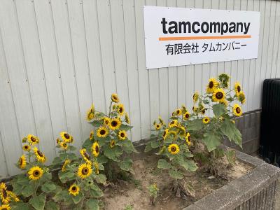 東山動植物園の求人 愛知県 名古屋市 Indeed インディード 東山動植物園の求人 愛知県 名古屋市 Indeed インディード