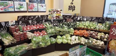 一般事務の求人 千葉県 富里市 Indeed インディード