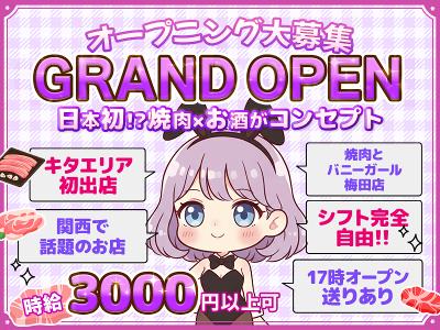 大阪府の手渡し アルバイトの求人情報｜Indeed（インディード）