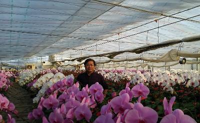 花の求人 和歌山県 Indeed インディード